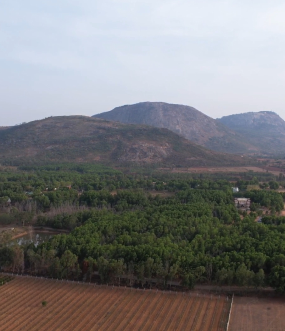 Nestled amidst the picturesque beauty of the Nandi Hills